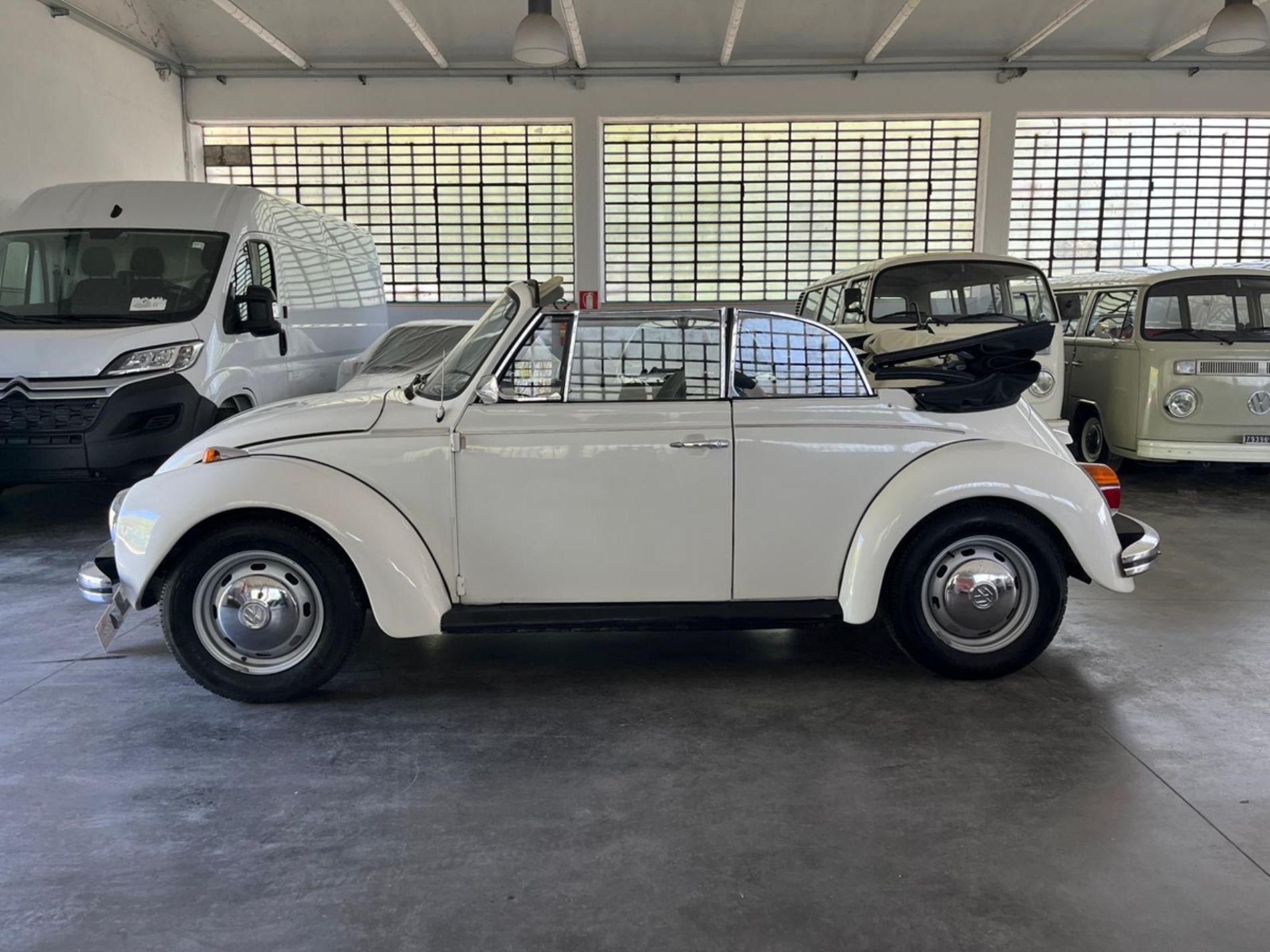 VOLKSWAGEN MAGGIOLONECABRIOLET  - Gallotti Auto