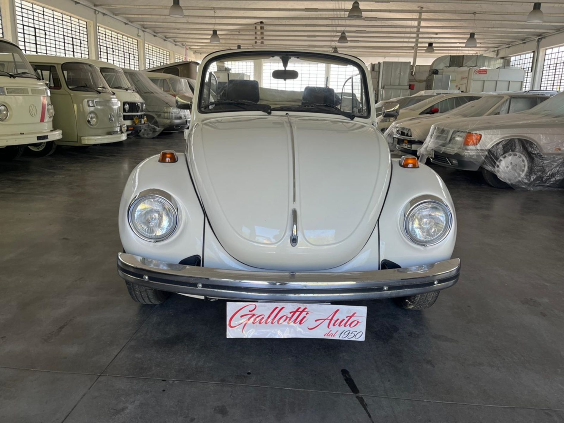 VOLKSWAGEN MAGGIOLONECABRIOLET  - Gallotti Auto