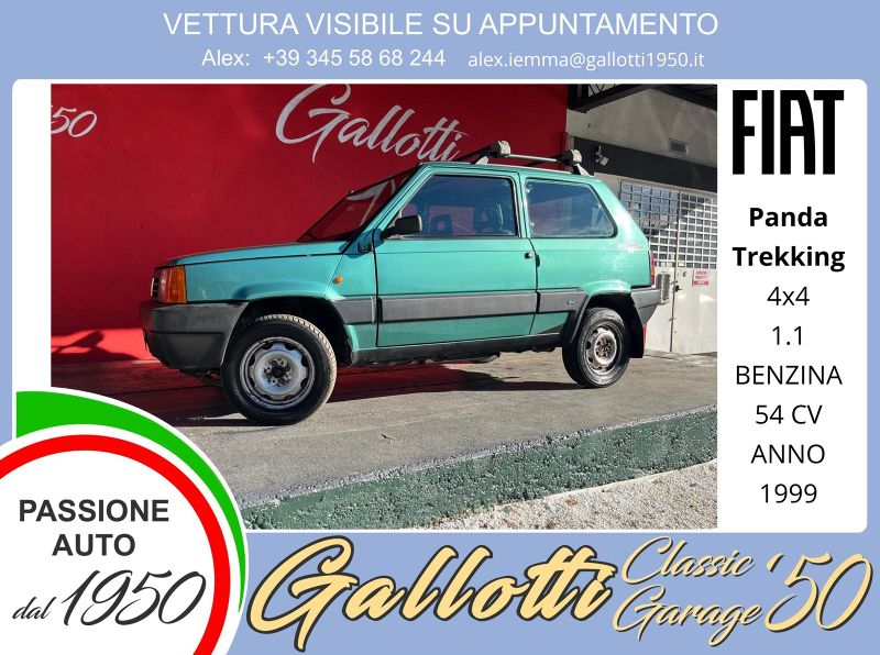 FIAT Panda Panda 1.1 Trekking 4x4 - Gallotti Auto