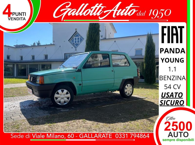 FIAT Panda Panda 1.1 Young - Gallotti Auto