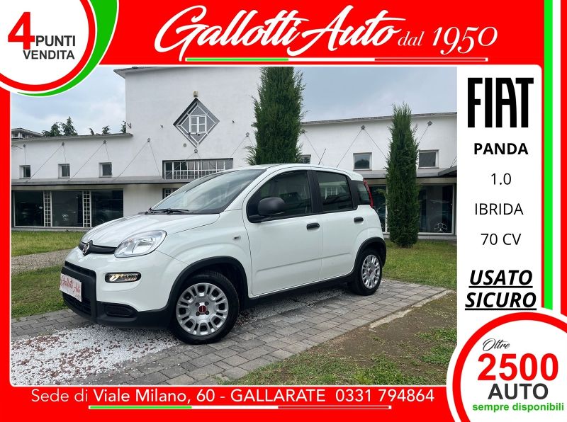FIAT Panda 09/2022 Usato a Gallarate | Gallotti Auto
