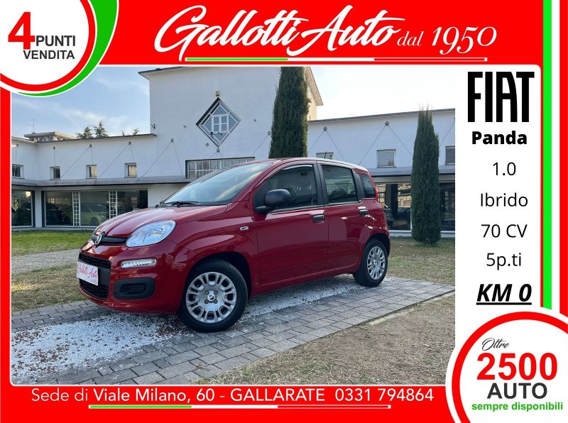 FIAT Panda Panda 1.0 firefly hybrid Icon s&s 70cv 5p.ti - Gallotti Auto