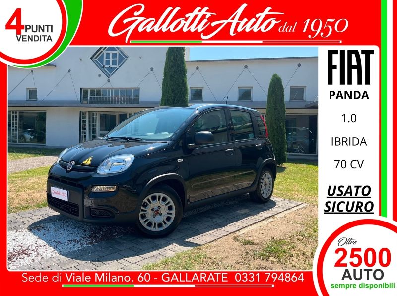 FIAT Panda 03/2024 Usato a Gallarate | Gallotti Auto
