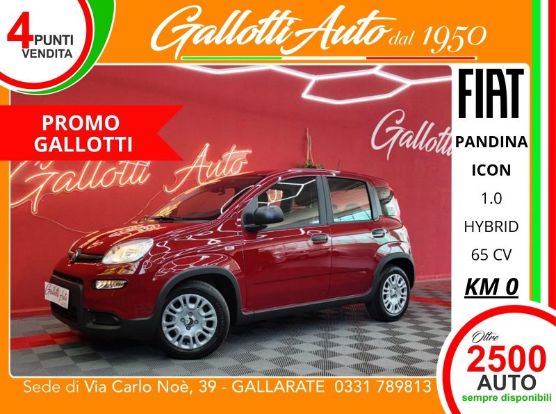 FIAT PANDINA 04/2026 Km0 a Gallarate | Gallotti Auto