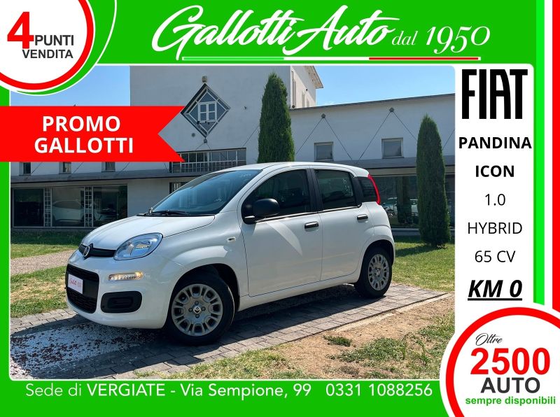 FIAT Panda 07/2026 Km0 a Gallarate | Gallotti Auto
