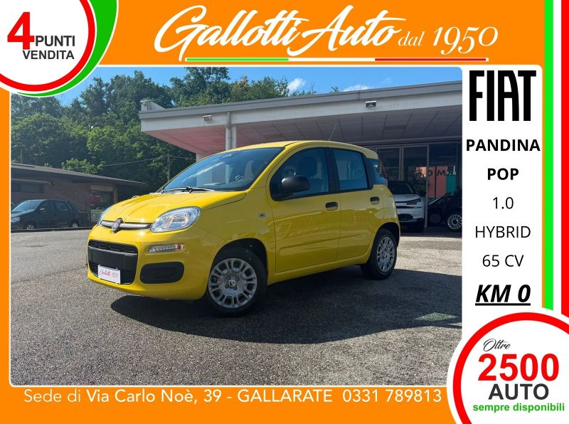 FIAT PANDINA 04/2026 Km0 a Gallarate | Gallotti Auto