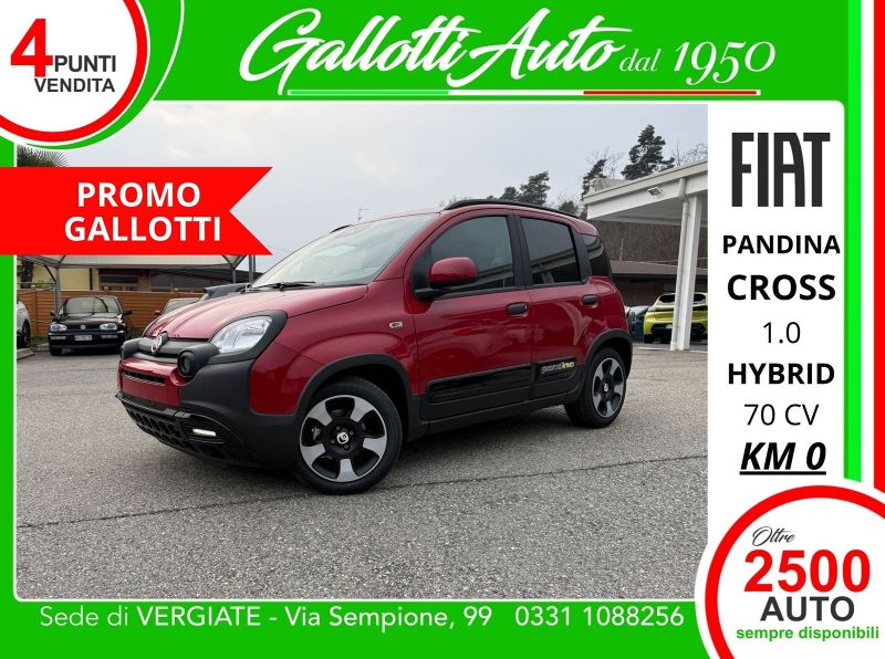 FIAT PANDINA 06/2026 Km0 a Gallarate | Gallotti Auto