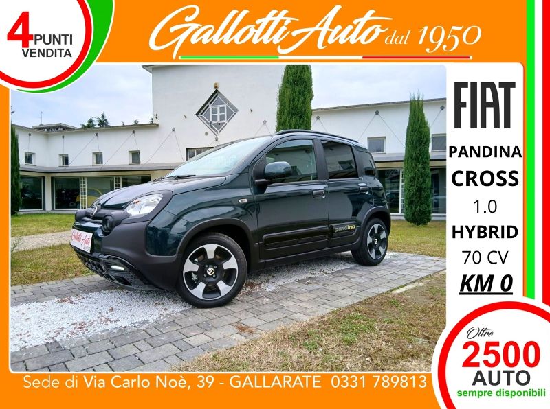 FIAT PANDINA 06/2026 Km0 a Gallarate | Gallotti Auto