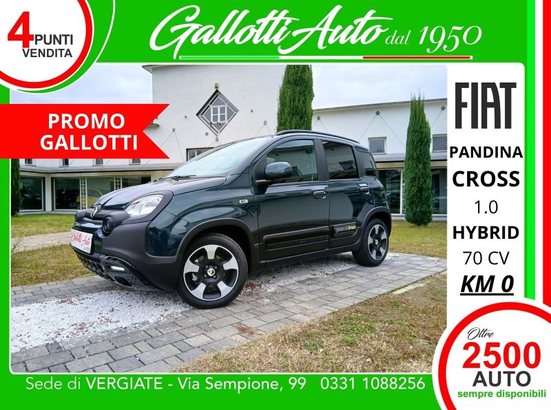 FIAT PANDINA 06/2026 Km0 a Gallarate | Gallotti Auto