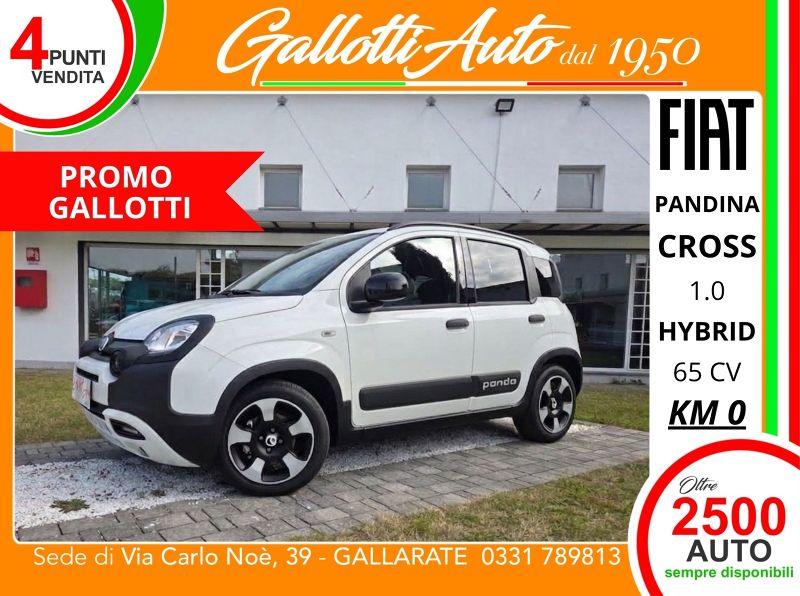 FIAT PANDINA 07/2026 Km0 a Gallarate | Gallotti Auto