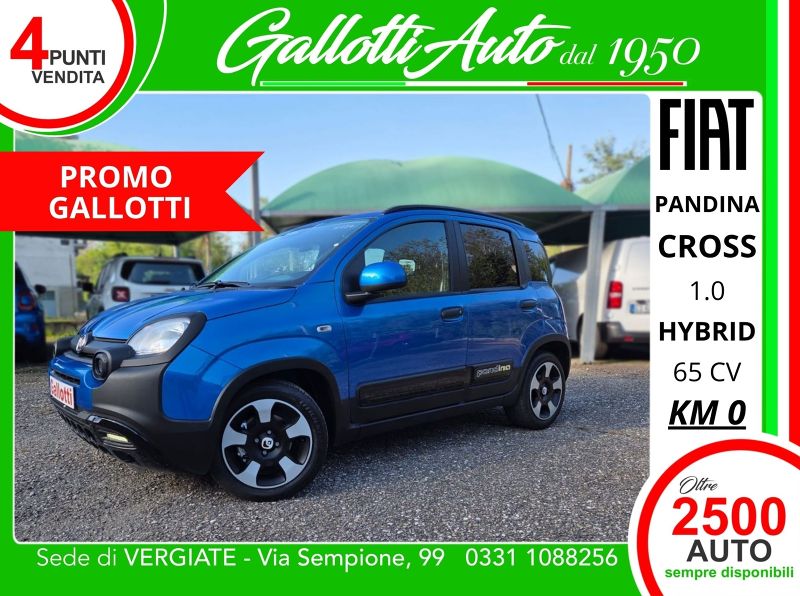 FIAT PANDINA 07/2026 Km0 a Gallarate | Gallotti Auto