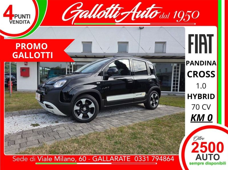 FIAT PANDINA 09/2025 Km0 a Gallarate | Gallotti Auto